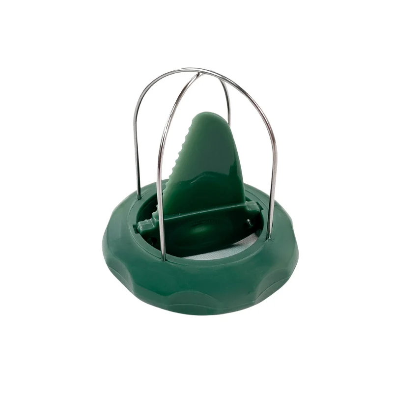 Tagliakiwi