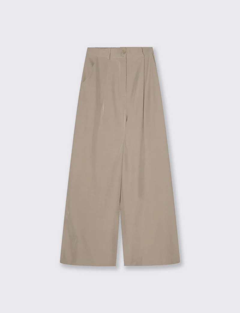 Pantaloni palazzo con pences e chiusura a bottone - Beige