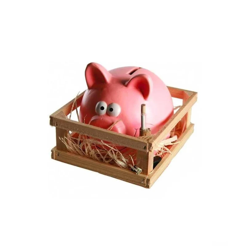 Salvadanaio A Forma Di Maialino Con Martello In Ceramica