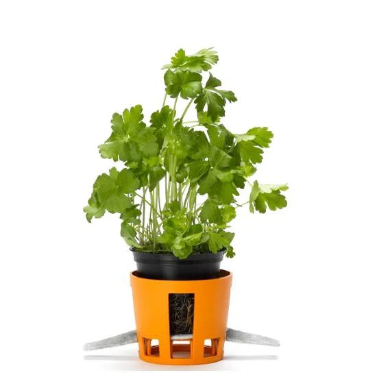 Herb Contenitore Per Erbe Aromatiche Rotondo In Polistirene - Set 2 Pz