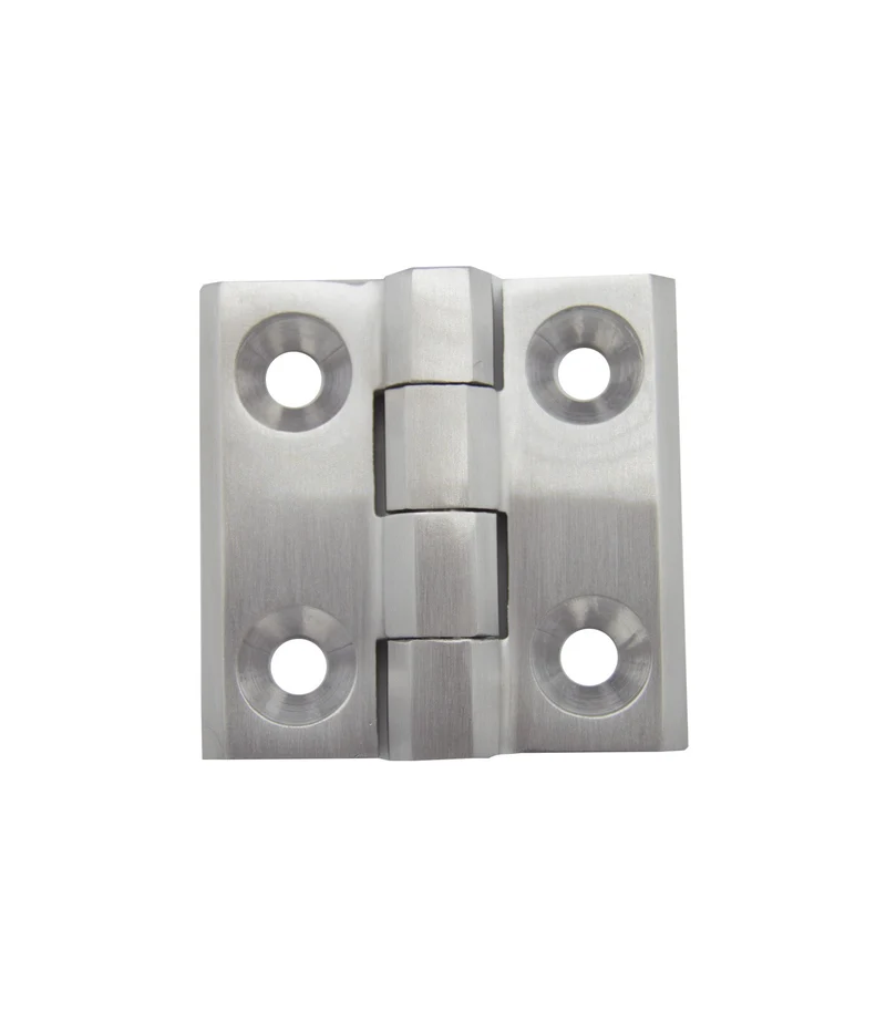 Bisagra Dirak inox A-316 50x50 218-9302